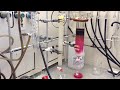 time lapse column chromatography porphyrin