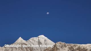 Kowang,Thasang,Mustang