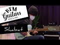 Shabat Lion Standard Sage Green Metallic Sound Demo | BTM Guitars Demo Corner