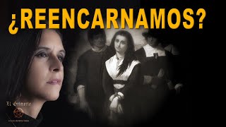 ¿Existe la REENCARNACIÓN? | VIDAS PASADAS | El Grimorio