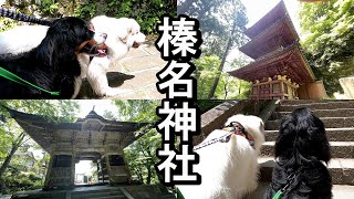 【ラム＆ピコ】榛名神社を参拝しました