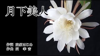 月下美人　　作詞：高須はじめ　作曲：髙 幸吉　歌手募集！