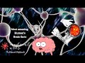 10 most amazing human brain facts 2021