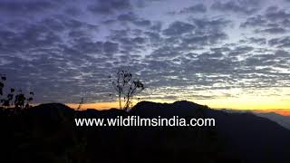 Stunning sunrise at wildfilmsindia Uttarakhand: Orange horizon, cloud shades of grey, orange, blue