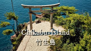 Exploring the uninhabited Island of Gods in Japan's biggest lake [Chikubu Island] 4K