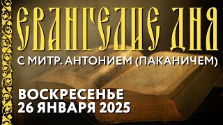 Толкование Евангелия с митр. Антонием (Паканичем). Воскресенье, 26 января 2025 года.