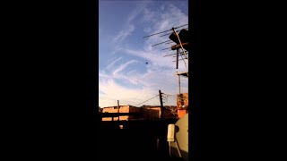 Fly Flying In Slow Motion || ViralHog