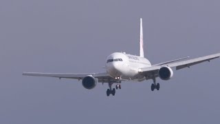 ゆさり ゆさりとアプローチ　JAL 767-300 / 伊丹空港 32L