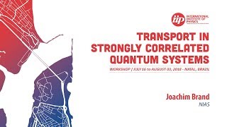 Quantum dark solitons in the one-dimensional Bose gas - Joachim Brand