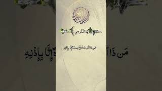 Ayat Ul Kursi - #allah #muhammadﷺ #islam #quran #quranrecitation #qurantilawat #quranverses #quranic