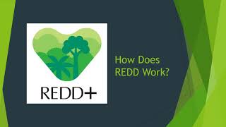 Computational Sustainability: Explaining REDD