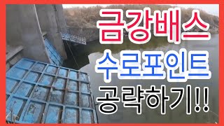 배스낚시 금강배스 수로포인트 공략하기!! Korea bass fishing バス 釣りバス釣り