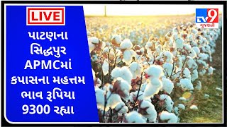 Mandi : પાટણના સિદ્ધપુર APMCમાં કપાસના મહત્તમ ભાવ રૂપિયા 9300 રહ્યા | Tv9News