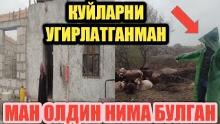 КУШНИСИДАН КАРЗ БУЛГАН ОИЛА/БОР ХАКИКАТЛАР ЧУПОН БУЛГАН ЕКАН