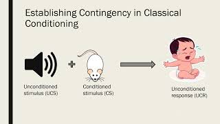 Contiguity and Contingency in Classical and Operant Conditioning