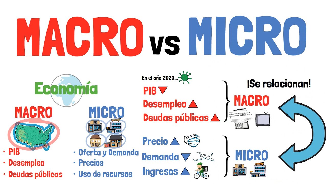 Diferencia Entre MACROECONOMÍA Y MICROECONOMÍA - Explicada Para ...