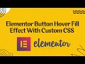 Elementor Button Hover Fill Effect With Custom CSS |  Elementor Pro CSS Tutorial 2023