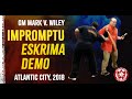 GM Mark V. Wiley | Impromptu Eskrima Demo | 2018