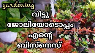 വീട്ടു ജോലിയോടൊപ്പം എന്റെ ബിസ്നെസ്/  ചെടികൾ പുതിയത് വന്നതും/Gardening Malayalam/Zain World/