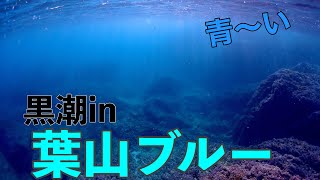 今冬シーズン初の葉山ブルー認定＠葉山って実は海綺麗なんです。