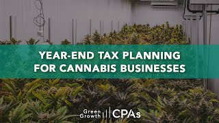 Year-End Tax Planning for Cannabis Businesses