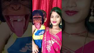 Bandar mama pahan pajama 💥🐒🐒#funny #viral#monkey#🐒