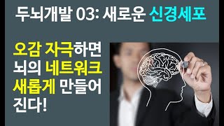 머리 회전이 놀랄만큼 빨라졌다! 두뇌개발 Ch 3. 머리의 좋고 나쁨이란?