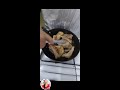 Ghiem Vlog is live cooking pork #satisfying