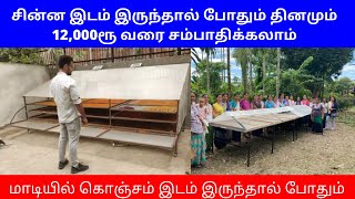 மாடியில் இடம் இருந்தால் போதும் தினமும் 12,000ரூ வரை சம்பாதிக்கலாம் ​| Small Business Ideas | Tamil