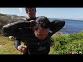 this woman freedives with prehistoric sea monsters ocean adventures ep. 1