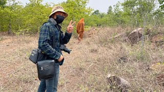 #สำรวจแหล่งโบราณคดีโคกหินเสื้อกลางป่า อำเภอศรีบุญเรือง จังหวัดหนองบัวลำภู