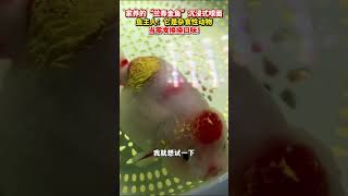 #家养金鱼沉浸式嗦面  主人：它是杂食性动物，当零食换换口味!