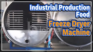 Industrial Production Food Freeze Dryer Machine - LABOAO