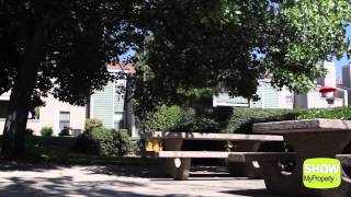 Chesapeake Commons Apartments Video!