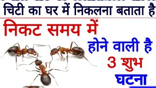 घर में चिटियों का आना देता है ये संकेत! Tips to get rid of Ants |Kali Chiti Anda Lekar Ghar me Aana