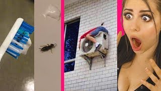 Photos That Will Make You Say WHATTTTT