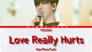 YESUNG 'Love Really Hurt (Ost Tazza)' Lyric [Han/Rom/Indo]