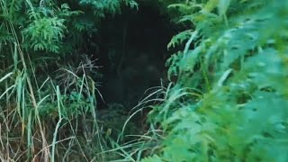 UNEXPECTED‼️FINDING HIDDEN WW2 JAPANESE CAVE