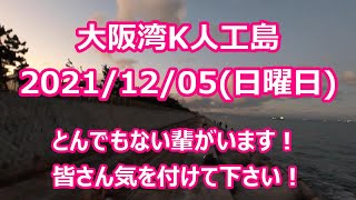 ＃大阪湾＃K人工島 2021年12月5日 日曜日 朝マズメの様子＃朝マズメ散歩 悪い奴がいます皆さん気を付けて下さい！