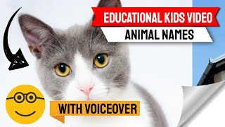 New kids videos for kids animal learning English - Mr. Hero - Canadian Hero - June 2021