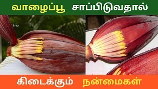 வாழைப்பூ சாப்பிடுவதால் கிடைக்கும் நன்மைகள் | Home remedies in tamil |  Pugaz Media |