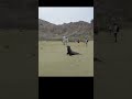 Sea Lions on a Beach in the Galápagos  Wait for the Baby and Mother Moment! 🦭   #short #Galapagos