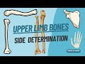 Side Determination of Upper Limb bones | Viva voce of Anatomy