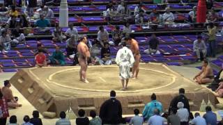 若隆景-大翔龍/2017.7.15(14)/wakatakakage-daishoryu/day7 #sumo