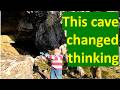 Preglacial life and the consequences for ecology.
