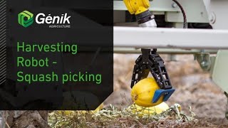 Genik Agriculture - Harvesting robot / Squash picking