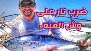 صيد كاستنج و مذبحة سمكه التونه-Casting fishing and tuna massacre