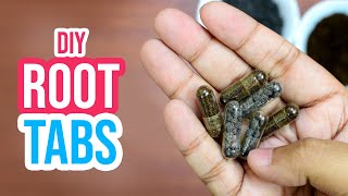 🌱☘️ Boost Plant Growth with Homemade Root Tabs for Aquariums 💦🐠