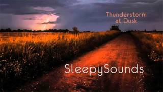 Thunderstorm at Dusk - Audio Recording - 9 hours of rain, thunder and crickets – ambience, sleep