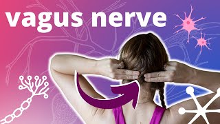 Vagus Nerve Massage for Stress & Anxiety Relief